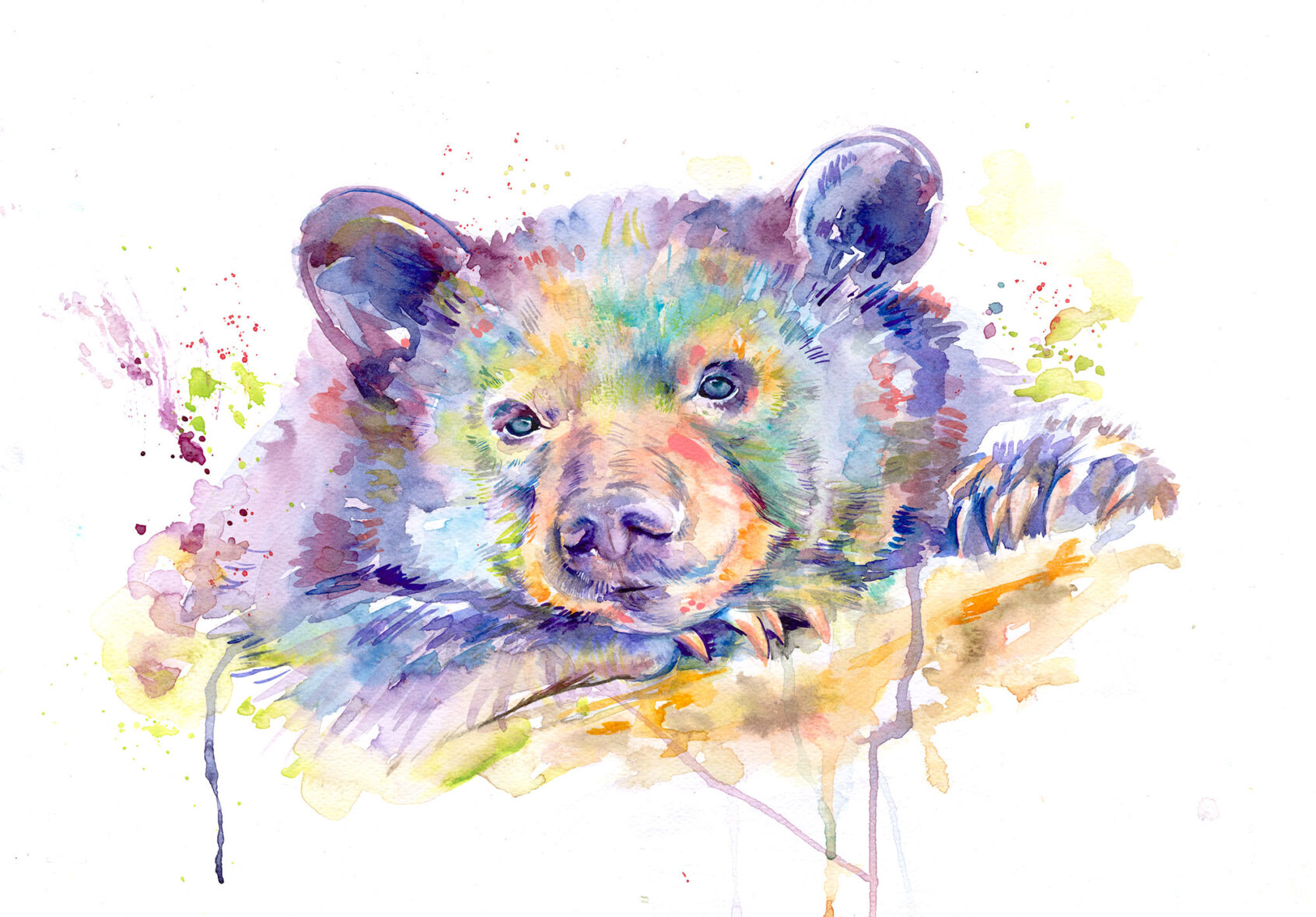 Black Bear Watercolor Painting Print