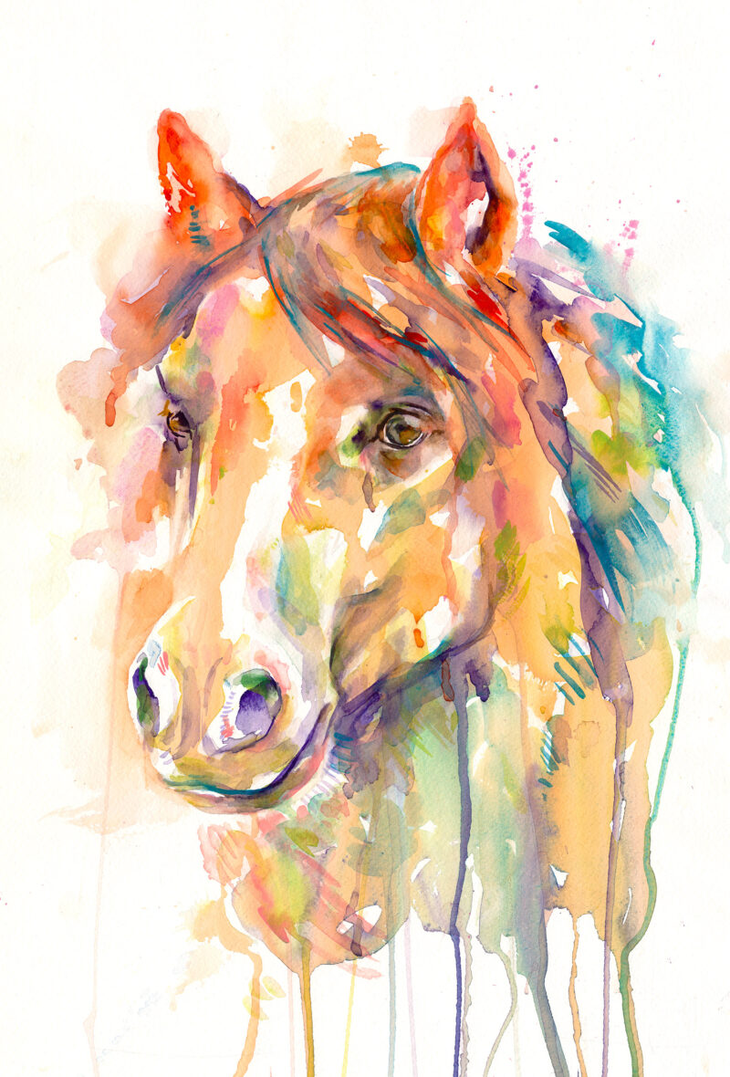 Horse Watercolor Painting Print