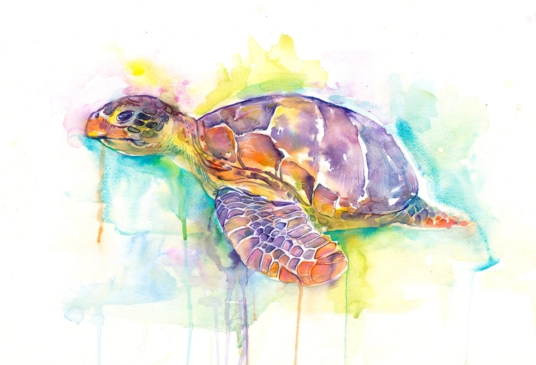 Sea Turtle Watercolor Painting