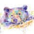 Black Bear Watercolor Painting Print