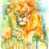 Lion Watercolor Painting Print