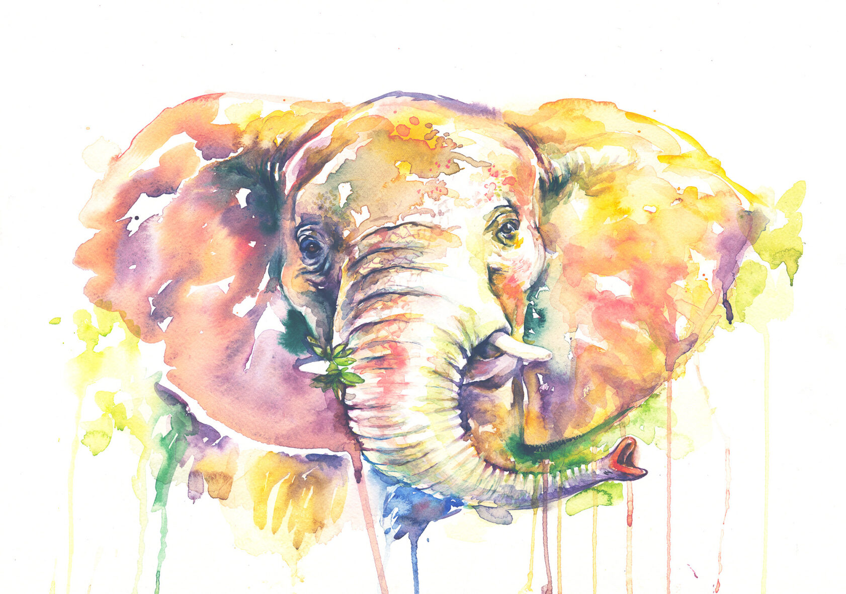 Elephant Watercolor Painting Print