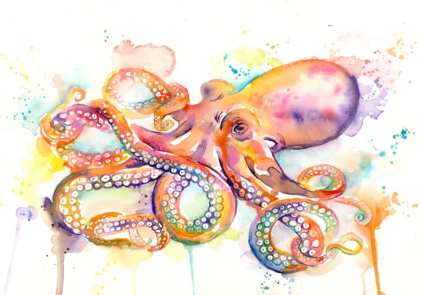 Octopus Watercolor Painting